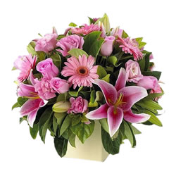 Loja de Flores - Entrega de Flores - Floristas Online - Aniversário - Bouquet Flores Momento de Júbilo