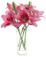 Loja de Flores - Entrega de Flores - Floristas Online - Melhoras - Bouquet Flores Imperial