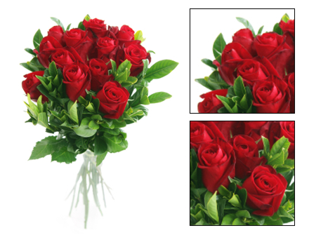 Bouquet de Flores Romantismo Selvagem - Entrega de Flores Arranjos Bouquets Cestos Floristas Loja de Flores