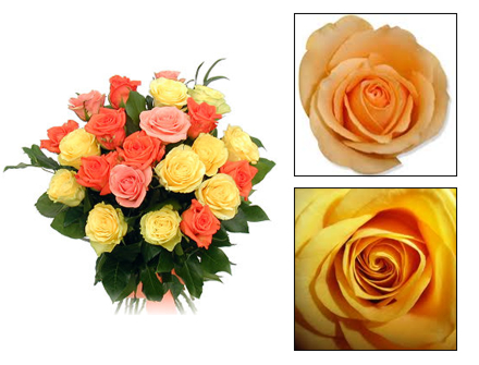 Bouquet Flores Clássico - Entrega de Flores Arranjos Bouquets Cestos Floristas Loja de Flores