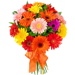 Loja de Flores - Entrega de Flores - Floristas Online - Bouquet de Flores - Bouquet de Flores Gerberas