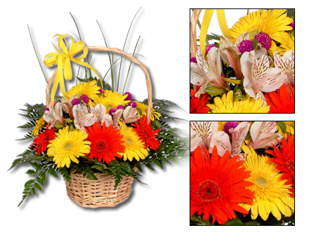 Cesto de Flores Amizade Sincera - Entrega de Flores Arranjos Bouquets Cestos Floristas Loja de Flores