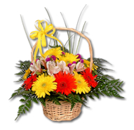 Loja de Flores - Entrega de Flores - Floristas Online - Cestas de Flores - Cesto de Flores Amizade Sincera