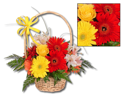 Cesta Flores Alegria - Entrega de Flores Arranjos Bouquets Cestos Floristas Loja de Flores