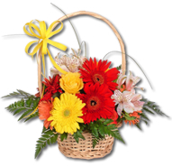 Loja de Flores - Entrega de Flores - Floristas Online - Nascimento - Cesta Flores Alegria