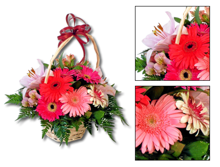 Cesta de Flores Emoção - Entrega de Flores Arranjos Bouquets Cestos Floristas Loja de Flores