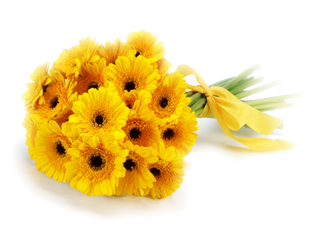 Bouquet de Flores Gerberas Amarelas - Entrega de Flores Arranjos Bouquets Cestos Floristas Loja de Flores