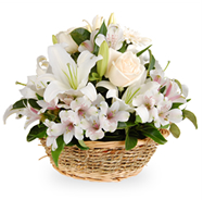 Loja de Flores - Entrega de Flores - Floristas Online - Melhoras - Cesta de Flores Resplandecente