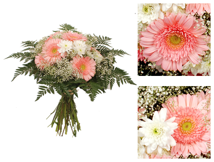 Bouquet Flores Inocente Serenidade - Entrega de Flores Arranjos Bouquets Cestos Floristas Loja de Flores