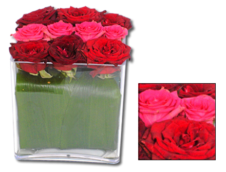 Arranjo Flores Cubo de Rosas - Entrega de Flores Arranjos Bouquets Cestos Floristas Loja de Flores
