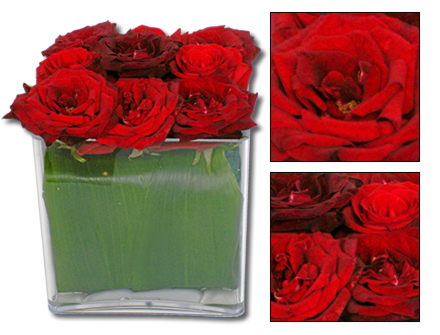 Arranjo Flores Cubo do Amor - Entrega de Flores Arranjos Bouquets Cestos Floristas Loja de Flores