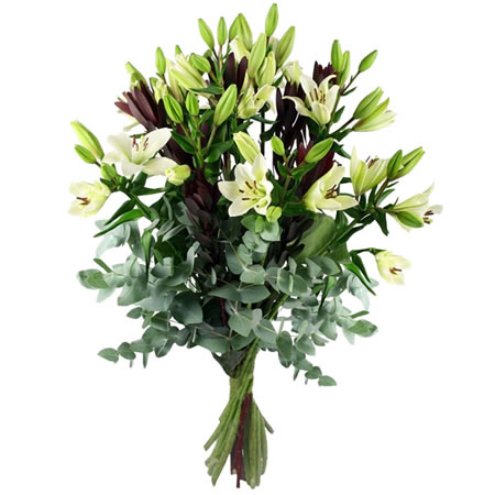 Bouquet de Flores Paz Imperial - Entrega de Flores Arranjos Bouquets Cestos Floristas Loja de Flores