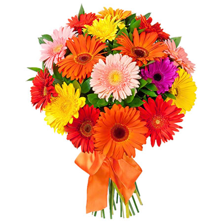 Bouquet de Flores Gerberas - Entrega de Flores Arranjos Bouquets Cestos Floristas Loja de Flores