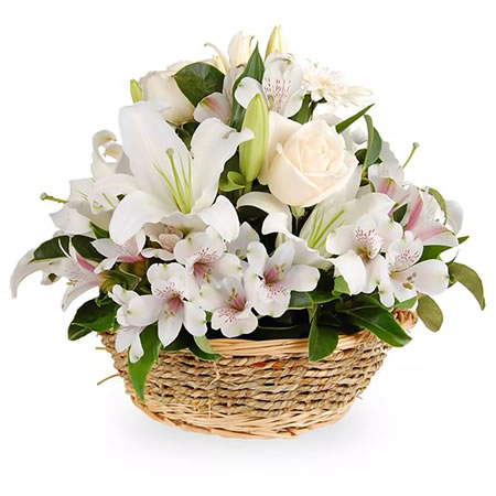 Cesta de Flores Resplandecente - Entrega de Flores Arranjos Bouquets Cestos Floristas Loja de Flores