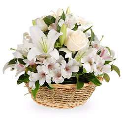 Loja de Flores - Entrega de Flores - Floristas Online - Melhoras - Cesta de Flores Resplandecente