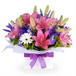 Loja de Flores - Entrega de Flores - Floristas Online - Nascimento - Bouquet de Flores Sensação Extrema