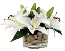 Loja de Flores - Entrega de Flores - Floristas Online - Melhoras - Arranjo Flores Coroa imperial em jarra