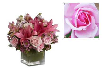 Arranjo Flores Cubo Cor-de-Rosa - Entrega de Flores Arranjos Bouquets Cestos Floristas Loja de Flores