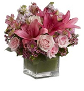 Loja de Flores - Entrega de Flores - Floristas Online - Nascimento - Arranjo Flores Cubo Cor-de-Rosa