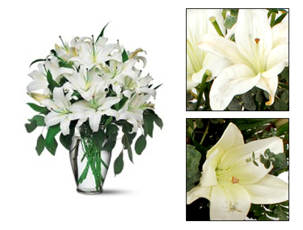 Bouquet Flores Surpresa Imperial - Entrega de Flores Arranjos Bouquets Cestos Floristas Loja de Flores