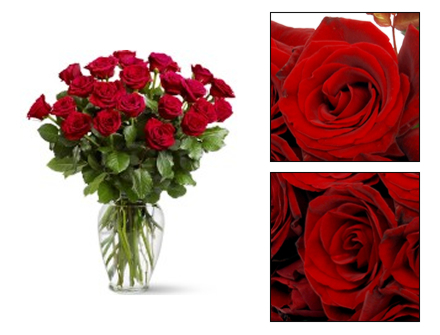 Bouquet Flores Ilustre Emoção - Entrega de Flores Arranjos Bouquets Cestos Floristas Loja de Flores