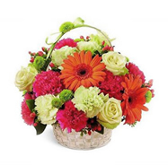 Loja de Flores - Entrega de Flores - Floristas Online - Nascimento - Cesta Flores Riso Feliz