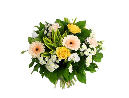 Bouquet Flores Sorriso de Paz - Entrega de Flores Arranjos Bouquets Cestos Floristas Loja de Flores