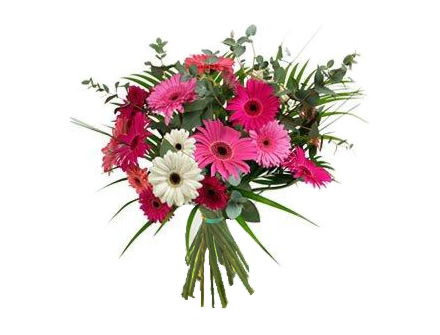 Bouquet Flores Gerberas Pacíficas - Entrega de Flores Arranjos Bouquets Cestos Floristas Loja de Flores